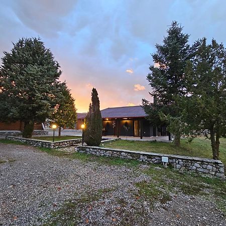 Orino Livadi Mount Villa IV Αράχωβα Εξωτερικό φωτογραφία
